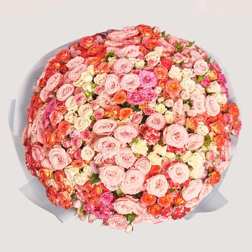 Product image Bouquet of 101 spray Roses Мix, packaging: Kafin blue, SKU: 3183