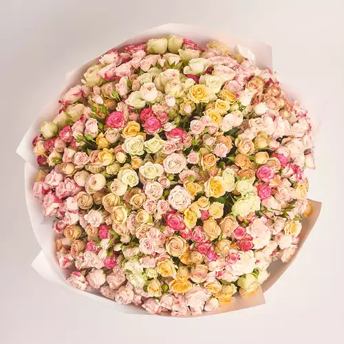 Product image Bouquet of 101 spray Roses mix, packaging: White, vendor code: 3183
