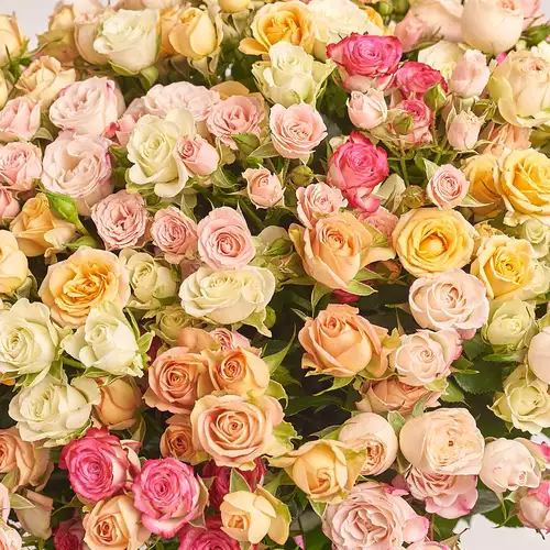 Product image Bouquet of  51 Roses spray mix, packaging: Kafin rust, vendor code: 3184