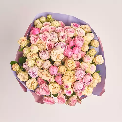 Product image Bouquet of 25 peony Roses spray mix, packaging: Gradiens violet, vendor code: 3187