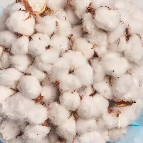 Изображение товара Коробка с Хлопком, упаковка: Голубая, артикул: 3188