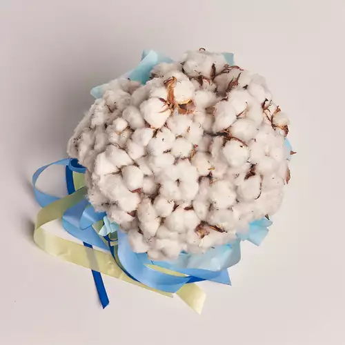 Product image Box with Cotton, packaging: Blue, vendor code: 3188