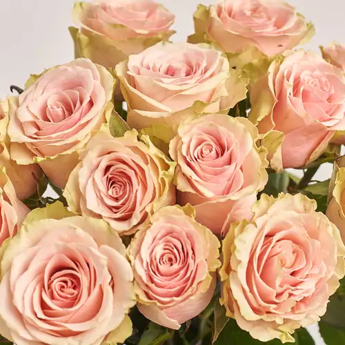 Product image Bouquet of 15 Roses Frutetto, packaging: Gradiens violet, vendor code: 3191