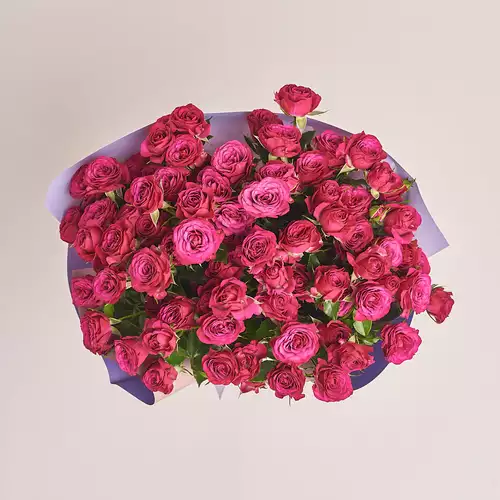 Product image Bouquet of 15 Roses spray Cheyenne, packaging: Gradiens violet, vendor code: 3192