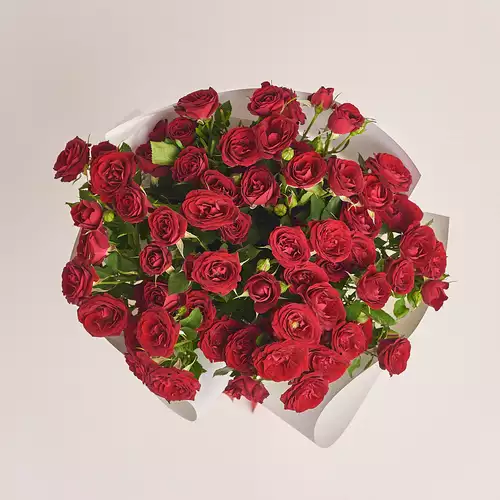 Product image Bouquet of 15  Red Roses Spray, packaging: White, vendor code: 3193