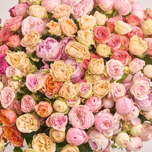 Product image Bouquet of 51 peony Roses spray mix, packaging: Transparent, vendor code: 3196