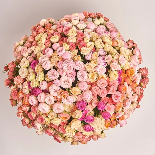 Product image Bouquet of 101 peony Roses spray mix, packaging: Without packaging, vendor code: 3197