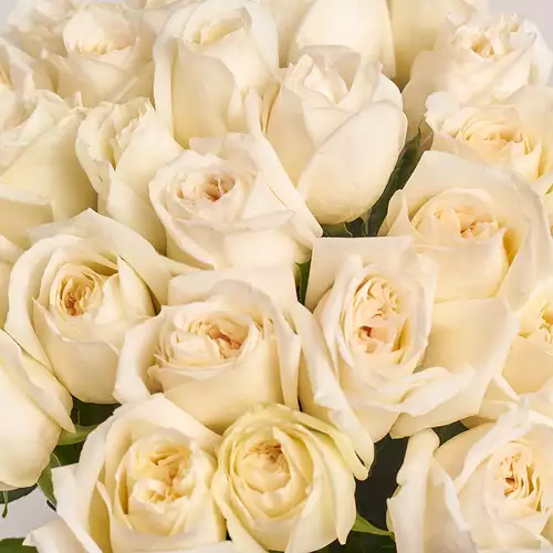 Product image Bouquet of 25 Roses White O'Hara, packaging: Pink, vendor code: 3199