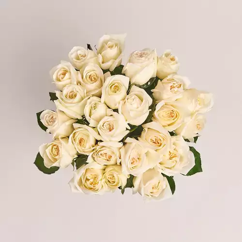 Product image Bouquet of 25 Roses White O'Hara, packaging: Without packaging, vendor code: 3199