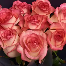 Букет 11 Роз Джумилия