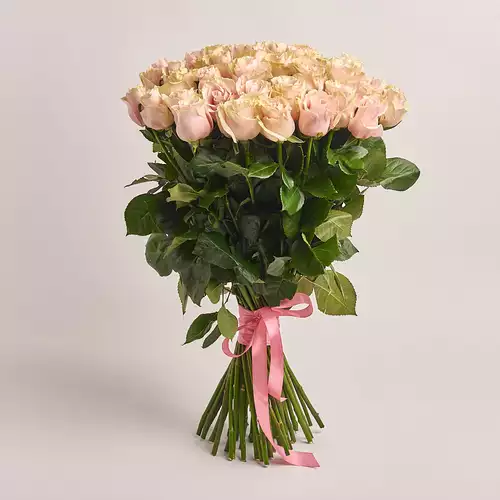 Product image , vendor code: 