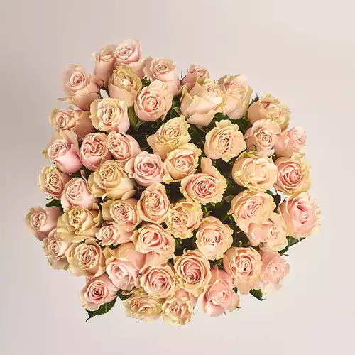 Product image Bouquet of 51 Roses Pink Mondial, packaging: Without packaging, vendor code: 3200