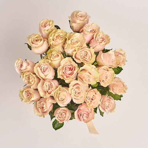 Product image Bouquet of 25 Roses Pink Mondial, packaging: Without packaging, vendor code: 3201
