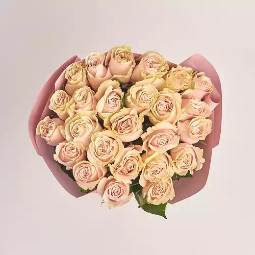 Product image Bouquet of 25 Roses Pink Mondial, packaging: Gradiens tiffany, vendor code: 3201