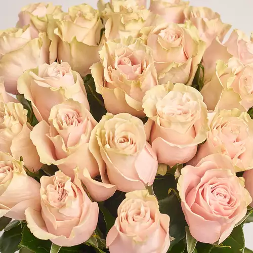 Product image Bouquet of 25 Roses Pink Mondial, packaging: Blue, vendor code: 3201