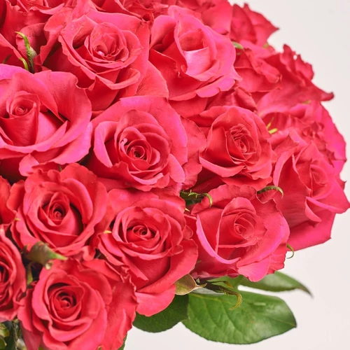 Product image Bouquet of 51 Ever Pink Roses, packaging: Gradiens blue, SKU: 3202