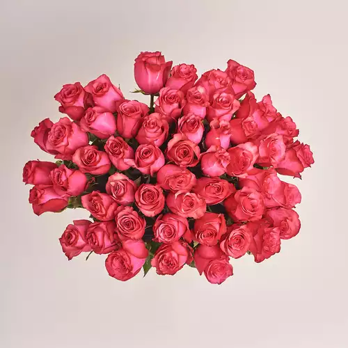 Product image Bouquet of 51 Ruspberry Roses, packaging: Without packaging, vendor code: 3202