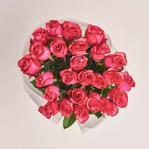 Product image Bouquet of 25 Ruspberry Roses, packaging: Transparent, vendor code: 3203