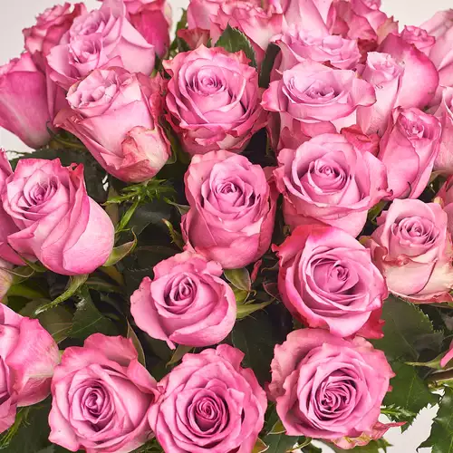 Product image Bouquet of 51 Purple Roses, packaging: Powder, vendor code: 3204