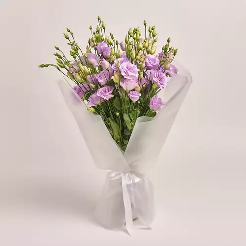 Product image , vendor code: 