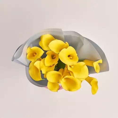 Product image Bouquet of 15 Yellow Callas, packaging: Gray, vendor code: 3209