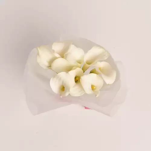 Product image Bouquet of  9 white Callas, packaging: Transparent, vendor code: 3213