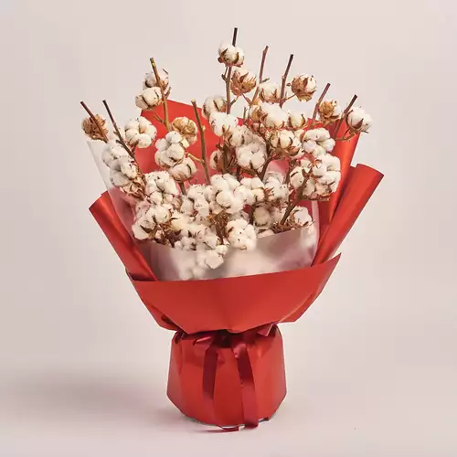 Product image Bouquet of 9 Cotton branches, packaging: Red, vendor code: 3214