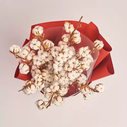 Product image Bouquet of 9 Cotton branches, packaging: Red, vendor code: 3214