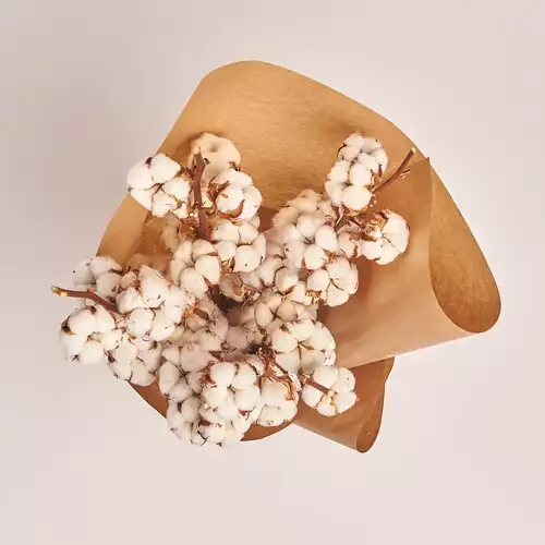 Product image Bouquet of 5 Cotton branches, packaging: Сraft, vendor code: 3215