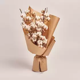 Bouquet of 5 Cotton branches