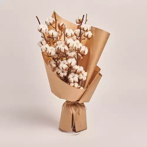 Product image Bouquet of 5 Cotton branches, packaging: Craft, vendor code: 3215