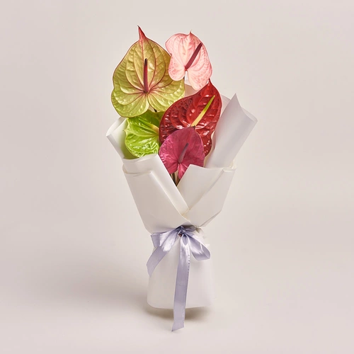 Product image Bouquet of 5 Аnthuriums mix, packaging: White, vendor code: 3216