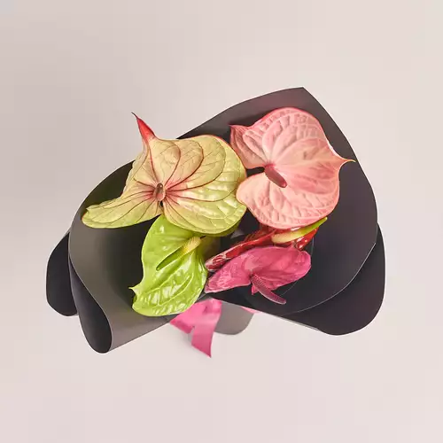 Product image Bouquet of 5 Аnthuriums mix, packaging: 
Graphite, vendor code: 3216