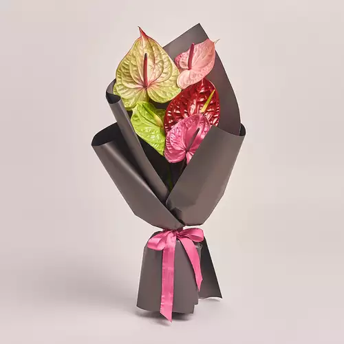 Product image Bouquet of 5 Аnthuriums mix, packaging: 
Graphite, vendor code: 3216