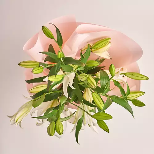 Product image Bouquet of 5 White Lilies, packaging: Composite light pink, vendor code: 3217