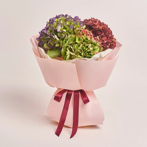 Product image Bouquet of 3 Hydrangeas Mix Bicolor, packaging: Composite light pink, vendor code: 3220