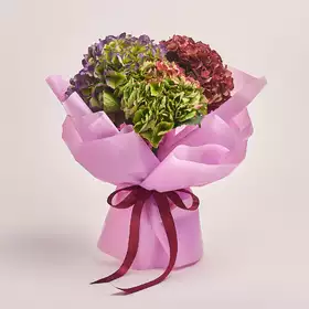 Bouquet of 3 Hydrangeas Mix Bicolor