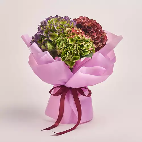 Product image Bouquet of 3 Hydrangeas Mix Bicolor, packaging: Purple, vendor code: 3220