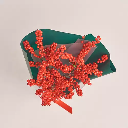 Product image Bouquet of 3 Ilex branches, packaging: Green, vendor code: 3221