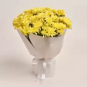 Bouquet of 15 Yellow  Chrysanthemums