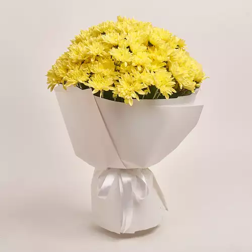 Product image , vendor code: 