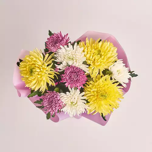 Product image Bouquet of 9  Single Chrysanthemums Mix, packaging: Purple, vendor code: 3224