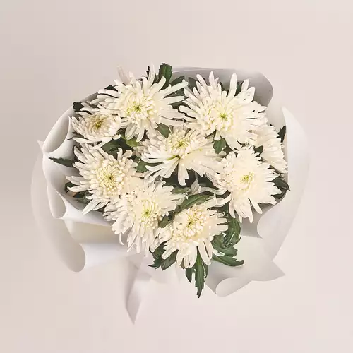 Product image Bouquet of 9 White Single Chrysanthemums, packaging: White, vendor code: 3225
