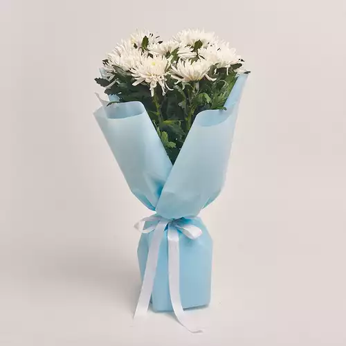 Bouquet of 9 White Single Chrysanthemums