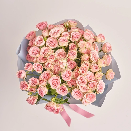 Product image Bouquet of 15 Light Pink Roses Spray, packaging: Gray, vendor code: 3227