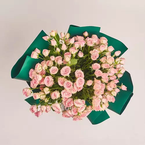 Product image Bouquet of 25 Light Pink Roses Spray, packaging: Green, vendor code: 3228