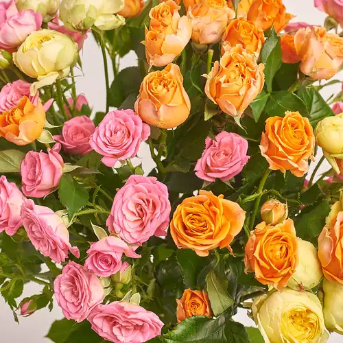 Product image Bouquet of 15 bright Roses spray mix, packaging: Gray, vendor code: 3231