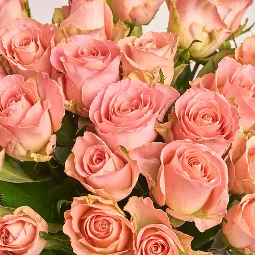 Product image Bouquet 51 Roses Hermosa, packaging: Green, vendor code: 3233