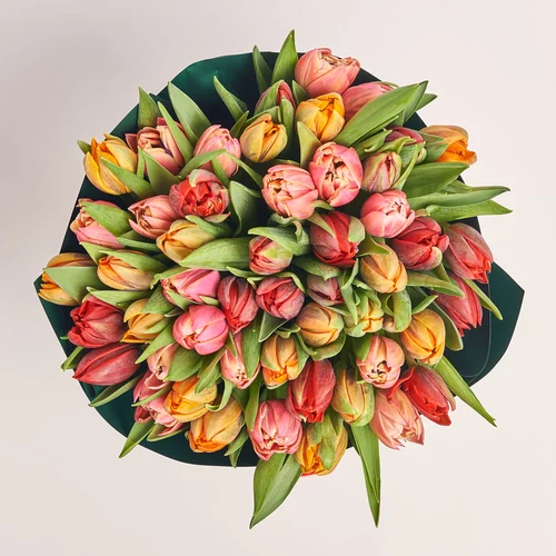Зображення товару Букет 51 Тюльпан мікс піоновидний, пакування: Зелена, артикул: 3235