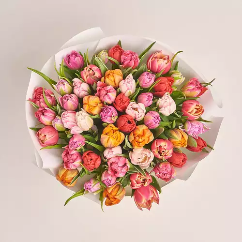 Зображення товару Букет 51 Тюльпан Мікс піоновидний, пакування: Біла, артикул: 3235
